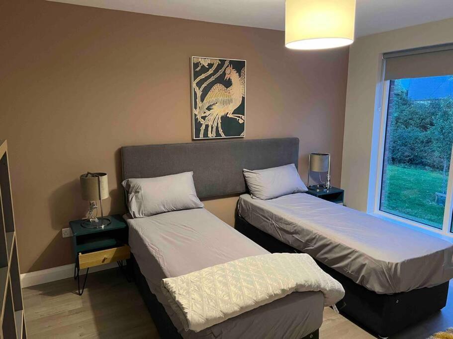 3 Bed Rooms Vip Family House Dublin Extérieur photo