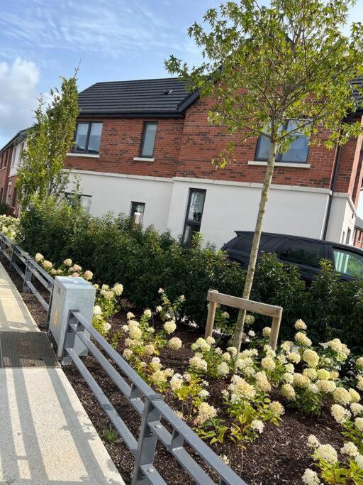 3 Bed Rooms Vip Family House Dublin Extérieur photo