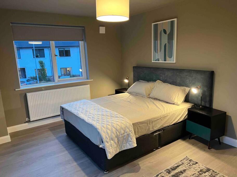 3 Bed Rooms Vip Family House Dublin Extérieur photo