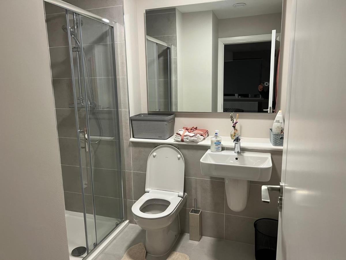 3 Bed Rooms Vip Family House Dublin Extérieur photo